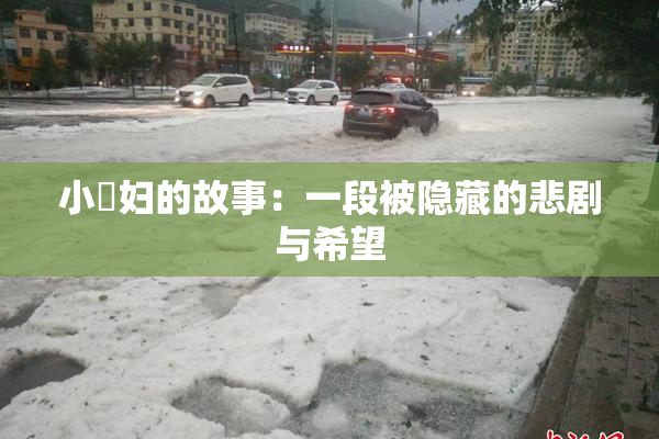 小婬妇的故事：一段被隐藏的悲剧与希望