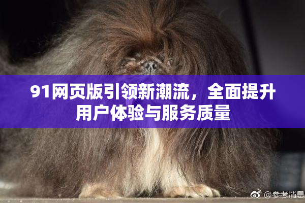 91网页版引领新潮流，全面提升用户体验与服务质量