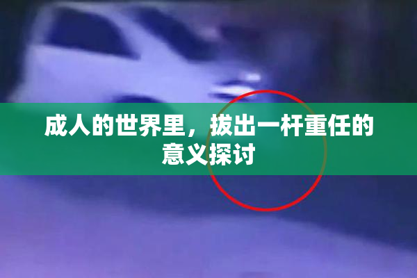 成人的世界里，拔出一杆重任的意义探讨