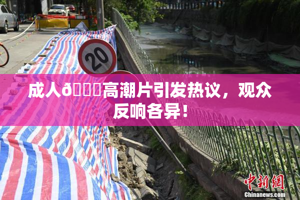 成人🔞高潮片引发热议，观众反响各异！