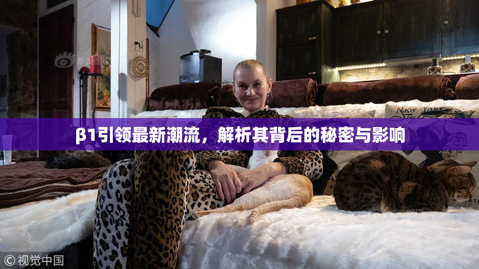 β1引领最新潮流，解析其背后的秘密与影响