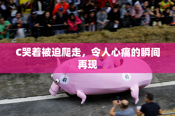 C哭着被迫爬走，令人心痛的瞬间再现