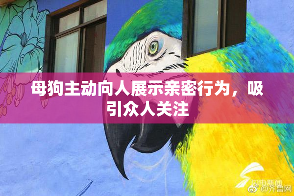 母狗主动向人展示亲密行为，吸引众人关注