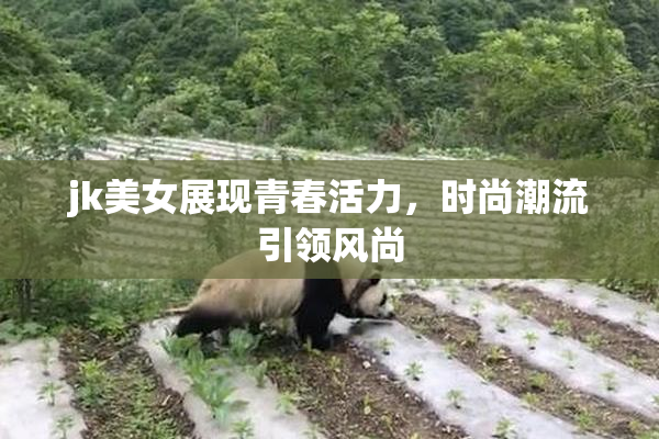 jk美女展现青春活力，时尚潮流引领风尚