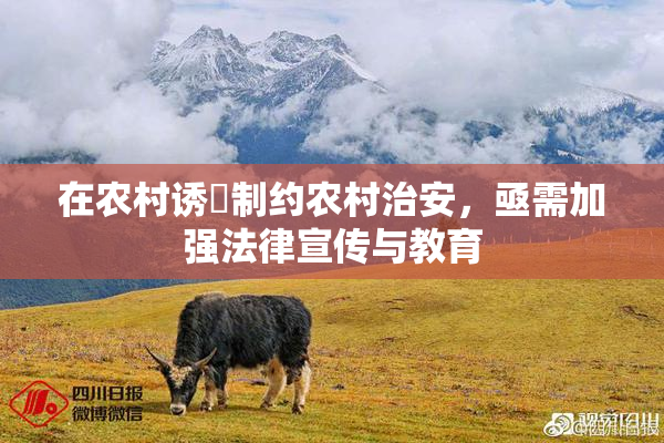 在农村诱奷制约农村治安，亟需加强法律宣传与教育