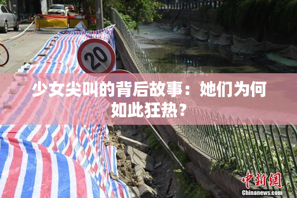 少女尖叫的背后故事：她们为何如此狂热？