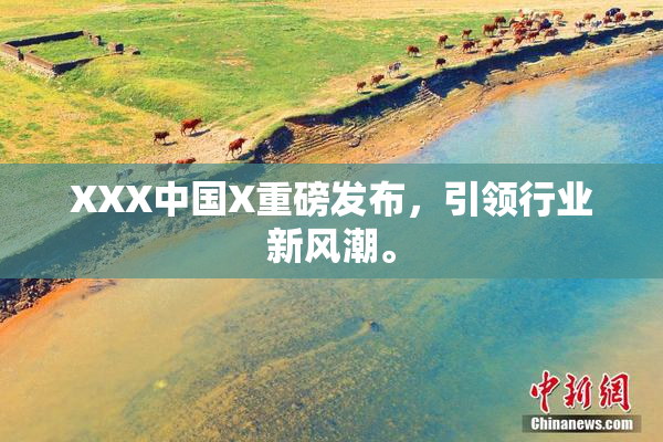 XXX中国X重磅发布，引领行业新风潮。