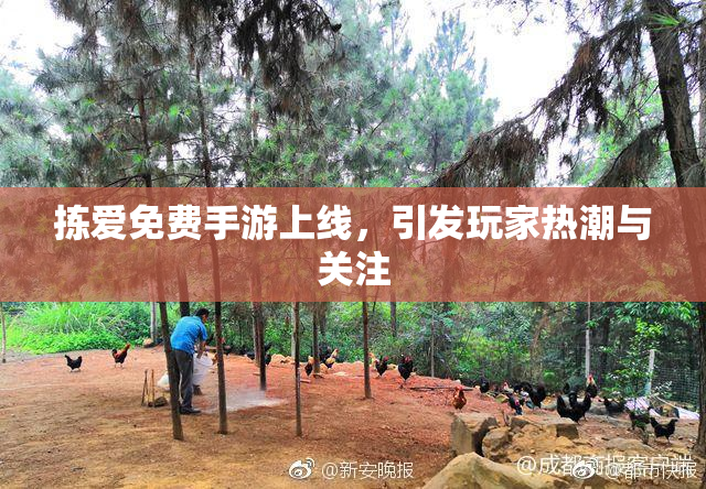 拣爱免费手游上线，引发玩家热潮与关注