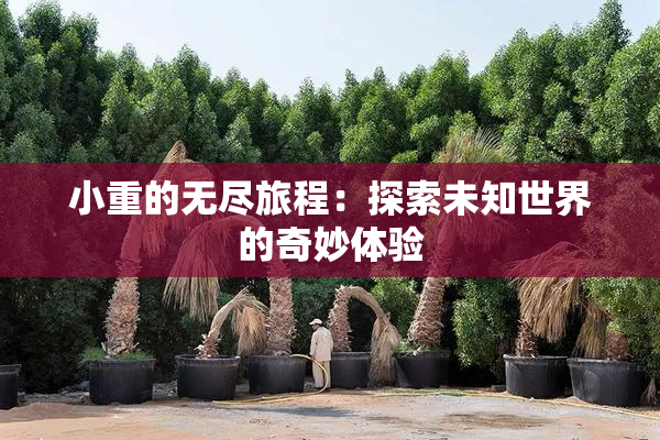 小重的无尽旅程：探索未知世界的奇妙体验