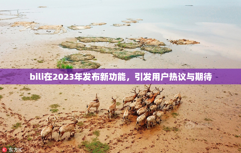 bili在2023年发布新功能，引发用户热议与期待