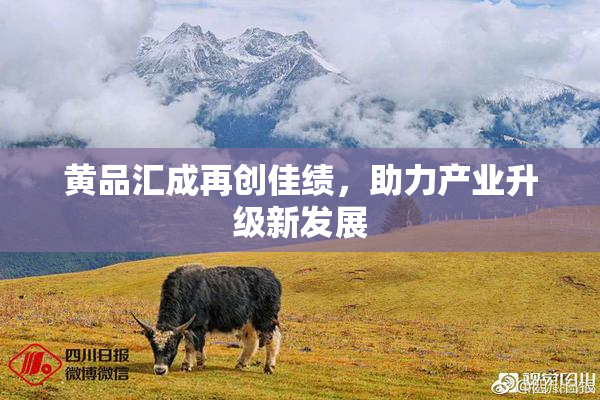 黄品汇成再创佳绩，助力产业升级新发展