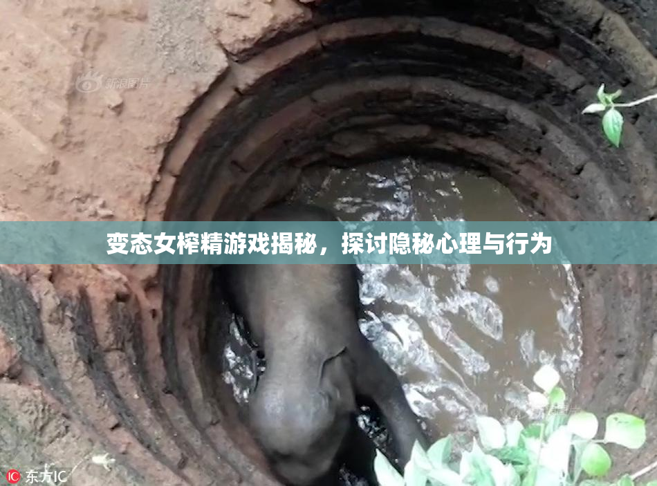 变态女榨精游戏揭秘，探讨隐秘心理与行为