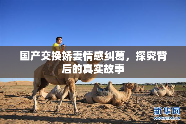 国产交换娇妻情感纠葛，探究背后的真实故事