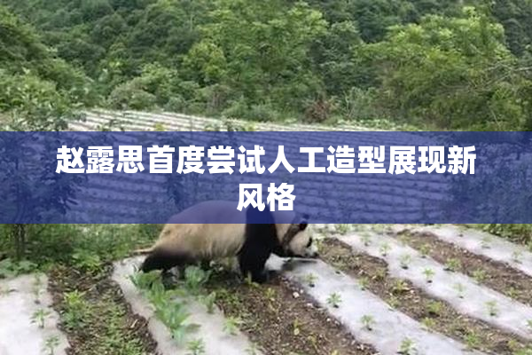赵露思首度尝试人工造型展现新风格