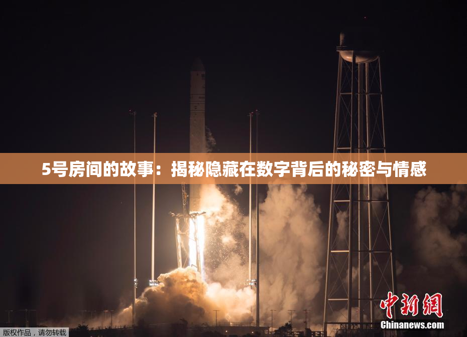 5号房间的故事：揭秘隐藏在数字背后的秘密与情感
