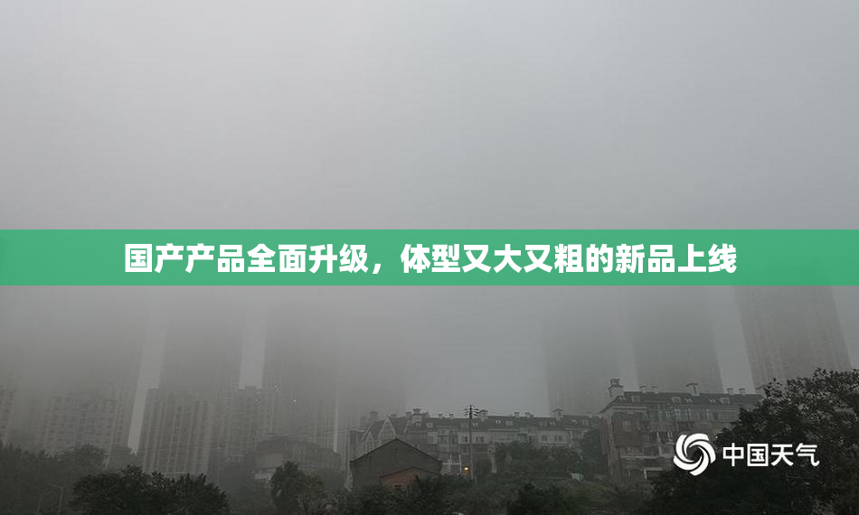 国产产品全面升级，体型又大又粗的新品上线