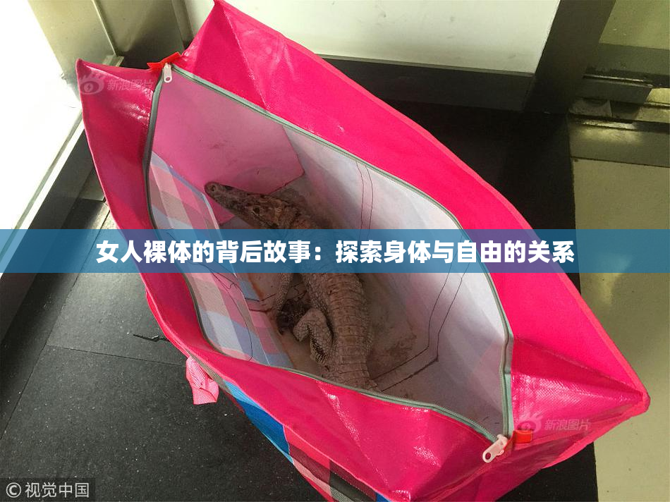 女人裸体的背后故事：探索身体与自由的关系