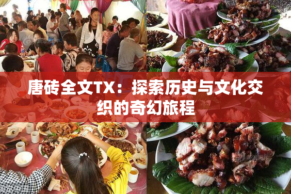 唐砖全文TX：探索历史与文化交织的奇幻旅程