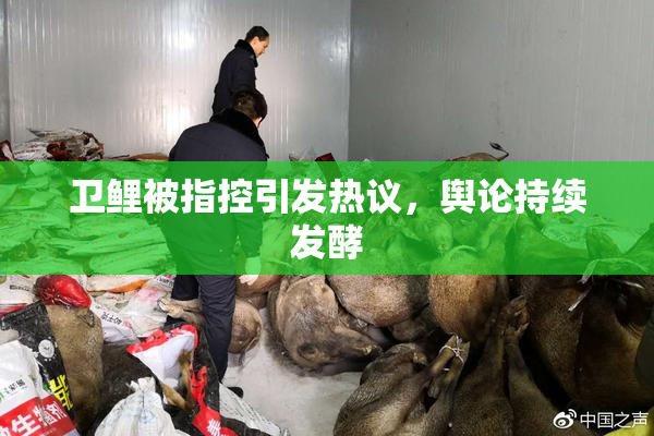 卫鲤被指控引发热议，舆论持续发酵