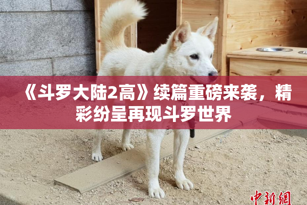 《斗罗大陆2高》续篇重磅来袭，精彩纷呈再现斗罗世界