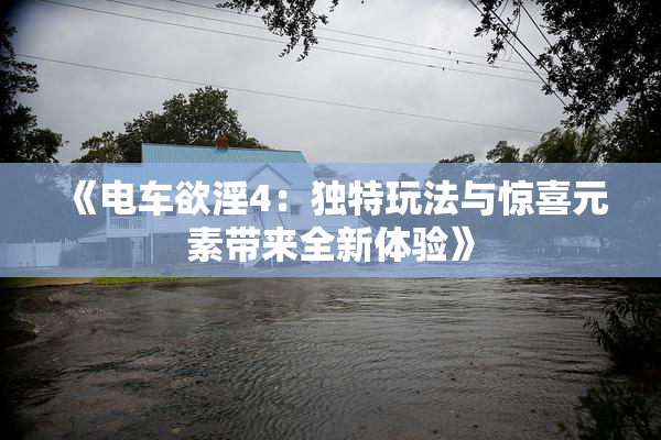 《电车欲淫4：独特玩法与惊喜元素带来全新体验》