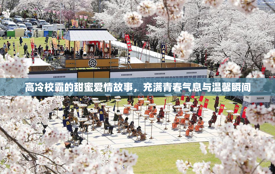 高冷校霸的甜蜜爱情故事，充满青春气息与温馨瞬间