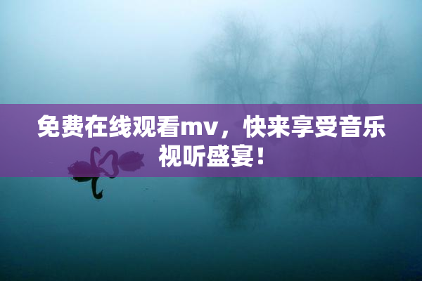 免费在线观看mv，快来享受音乐视听盛宴！