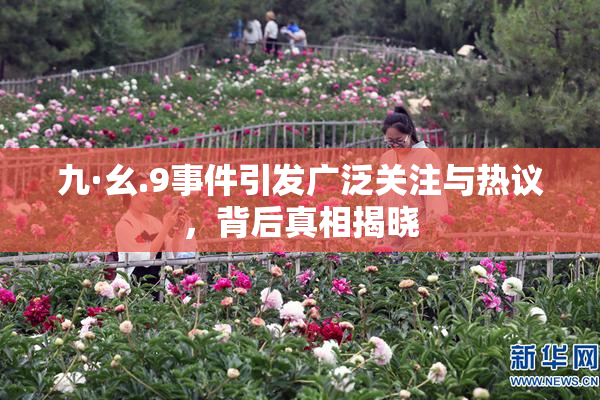 九·幺.9事件引发广泛关注与热议，背后真相揭晓