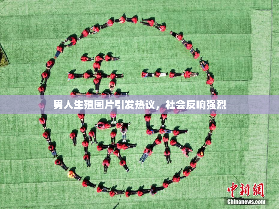 男人生殖图片引发热议，社会反响强烈