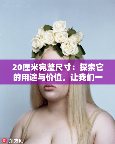 20厘米完整尺寸：探索它的用途与价值，让我们一起揭秘！