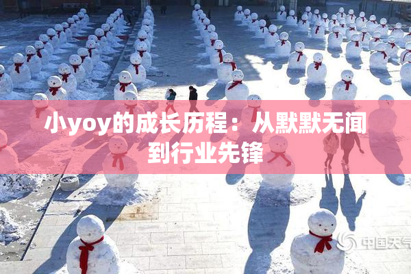 小yoy的成长历程：从默默无闻到行业先锋