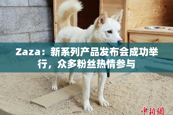Zaza：新系列产品发布会成功举行，众多粉丝热情参与