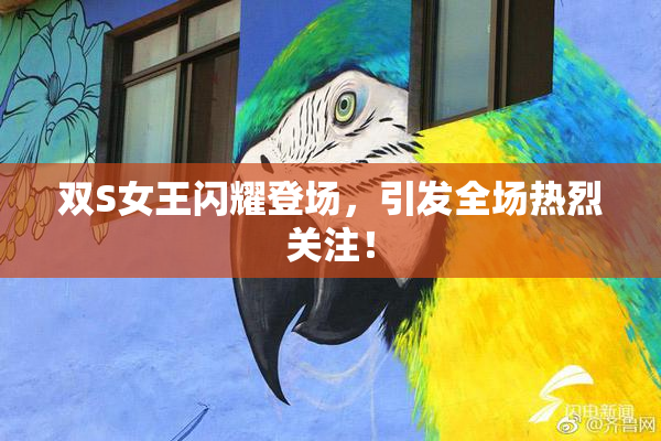 双S女王闪耀登场，引发全场热烈关注！