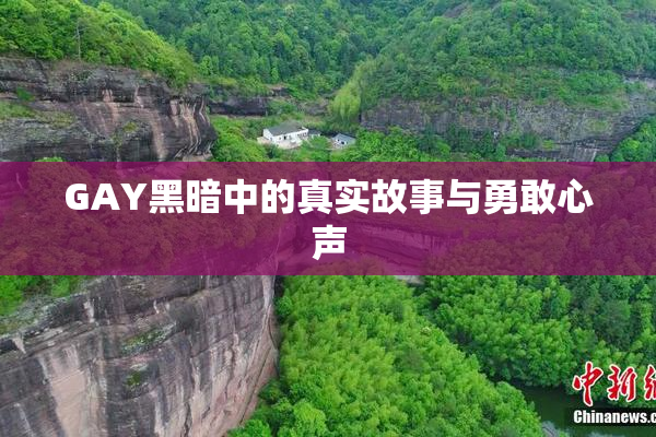 GAY黑暗中的真实故事与勇敢心声