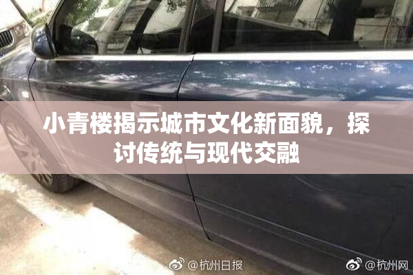 小青楼揭示城市文化新面貌，探讨传统与现代交融