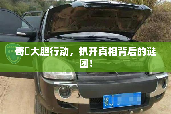 奇犽大胆行动，扒开真相背后的谜团！