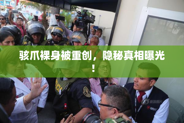 骇爪裸身被重创，隐秘真相曝光！