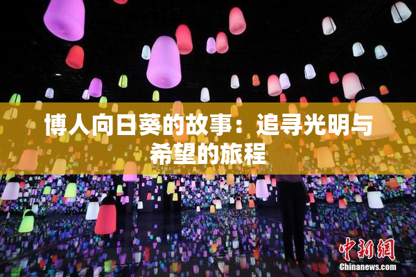 博人向日葵的故事：追寻光明与希望的旅程