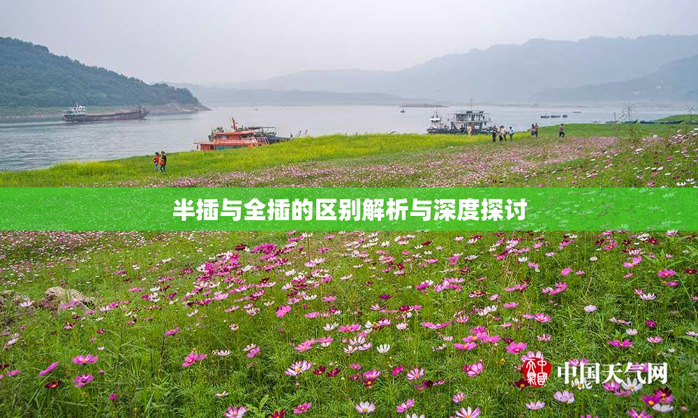 半插与全插的区别解析与深度探讨