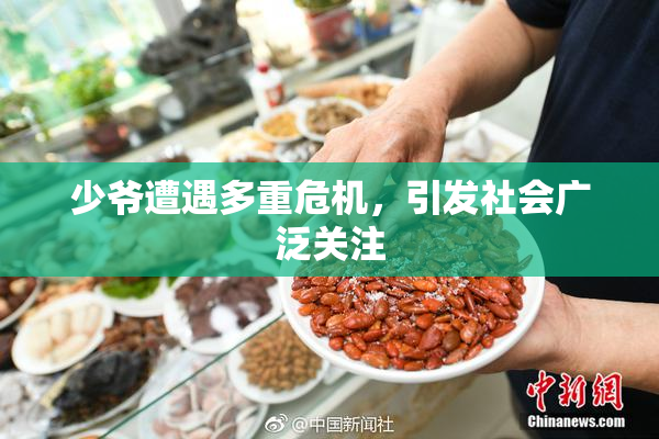 少爷遭遇多重危机，引发社会广泛关注