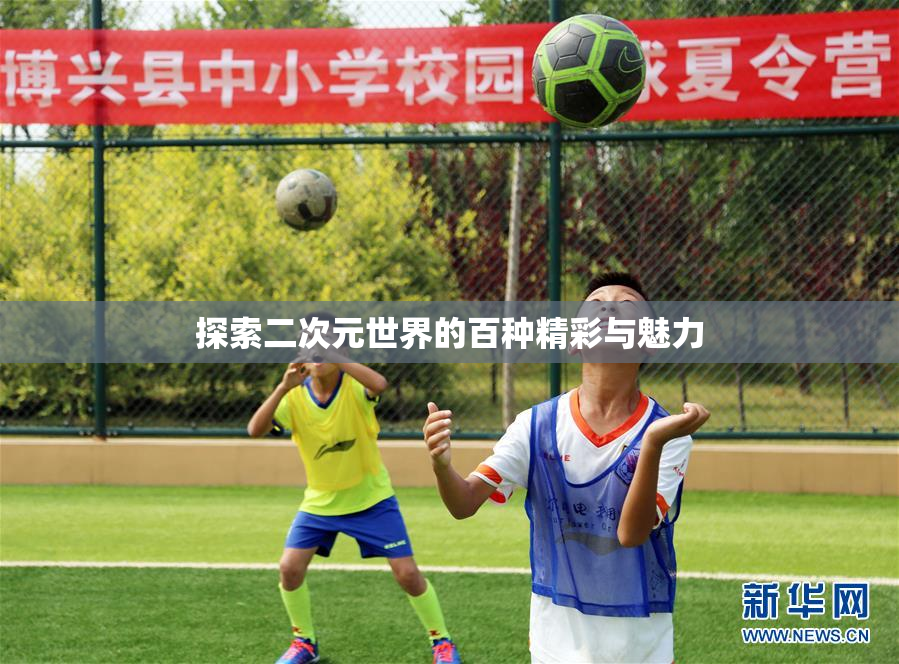 探索二次元世界的百种精彩与魅力