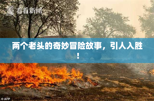 两个老头的奇妙冒险故事，引人入胜！