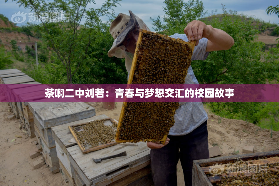 茶啊二中刘若：青春与梦想交汇的校园故事