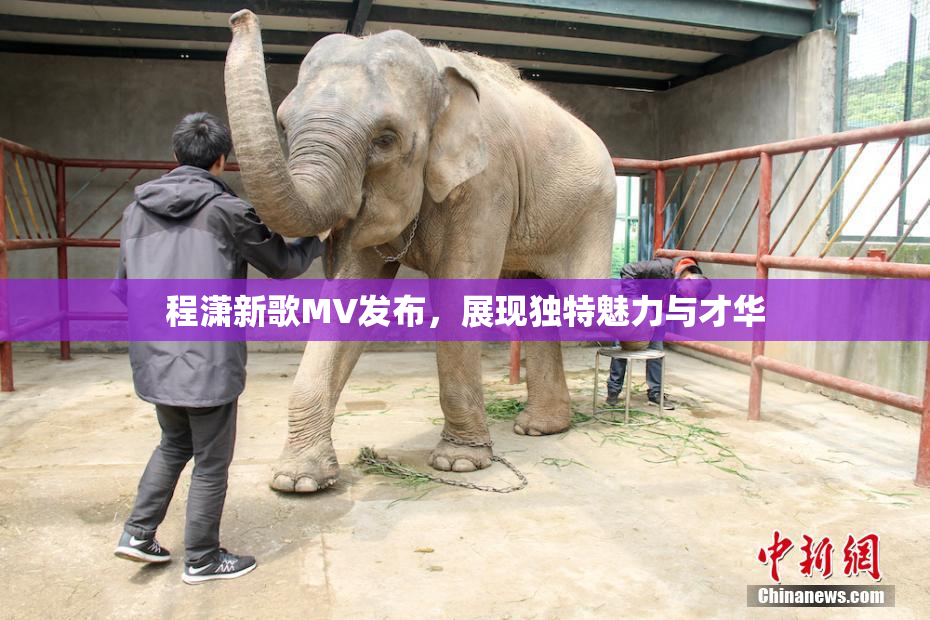 程潇新歌MV发布，展现独特魅力与才华