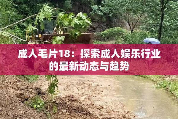 成人毛片18：探索成人娱乐行业的最新动态与趋势