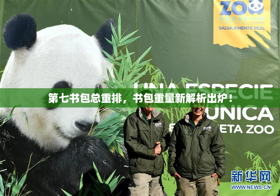 第七书包总重排，书包重量新解析出炉！
