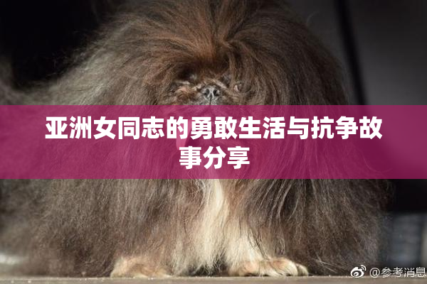 亚洲女同志的勇敢生活与抗争故事分享