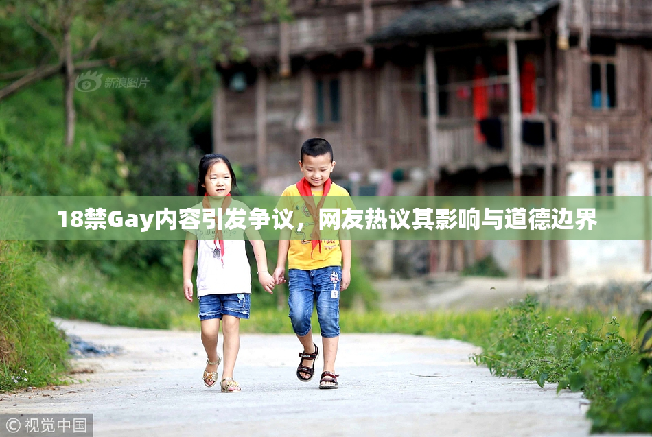 18禁Gay内容引发争议，网友热议其影响与道德边界
