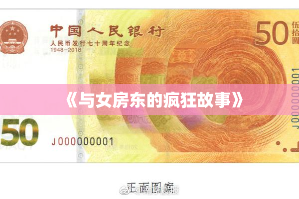 《与女房东的疯狂故事》