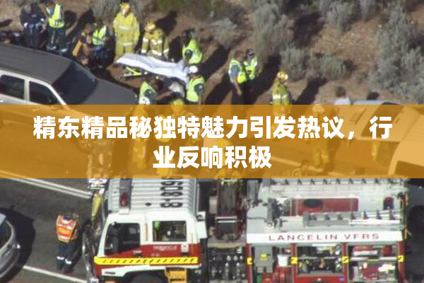 精东精品秘独特魅力引发热议，行业反响积极